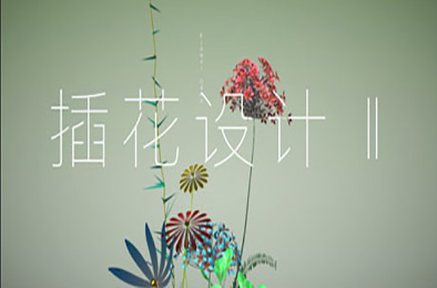插花设计Ⅱ 休闲益智PUZ下载