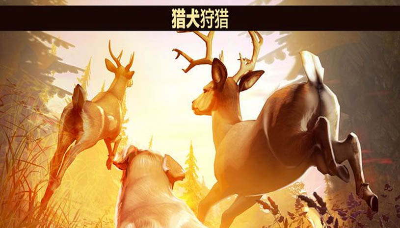 猎鹿人 游戏截图 5.jpg