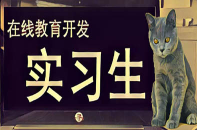 在线教育开发实习生 / Elearning Development Intern 模拟经营SIM下载