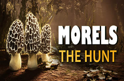 羊肚菌：狩猎 / Morels: The Hunt 冒险解谜AVG下载