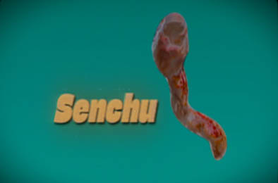 线虫 / Senchu v1.0.0 动作游戏ACT下载