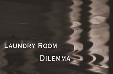 洗衣房困境 / Laundry Room Dilemma v1.0.0 冒险解谜AVG下载