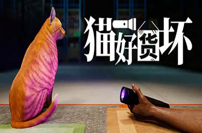 猫好货坏 / ORDER 13 v1.02 动作游戏ACT下载