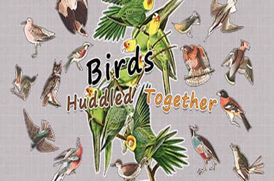 挤在一起的鸟鸟 / Birds Huddled Together 休闲益智PUZ下载